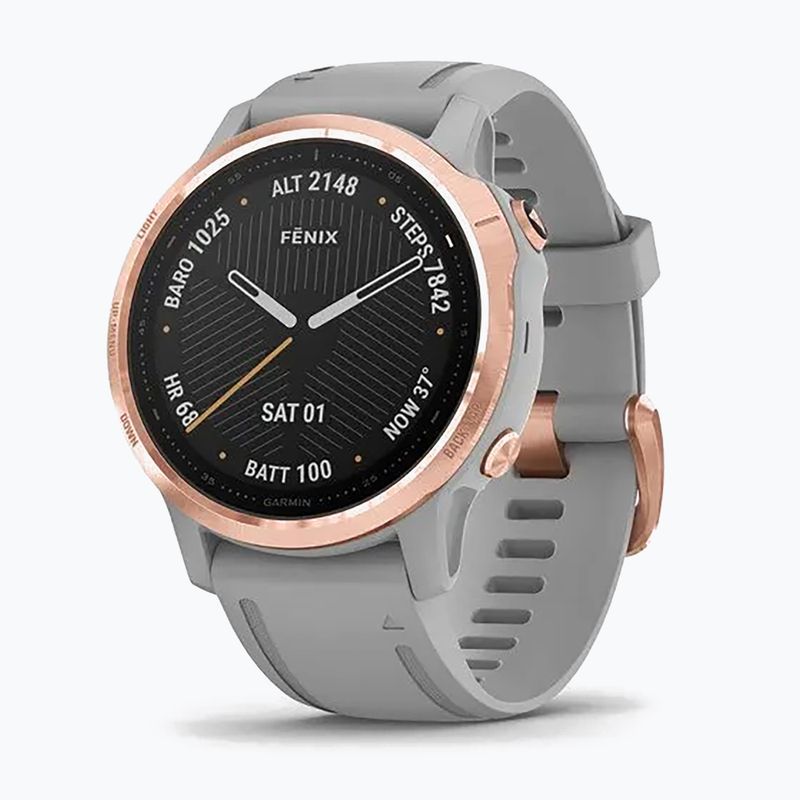 Garmin Fenix 6S Sapphire silver 010-02159-21