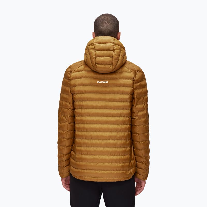 Мъжко пухено яке MAMMUT Albula IN gold 1013-01781 2