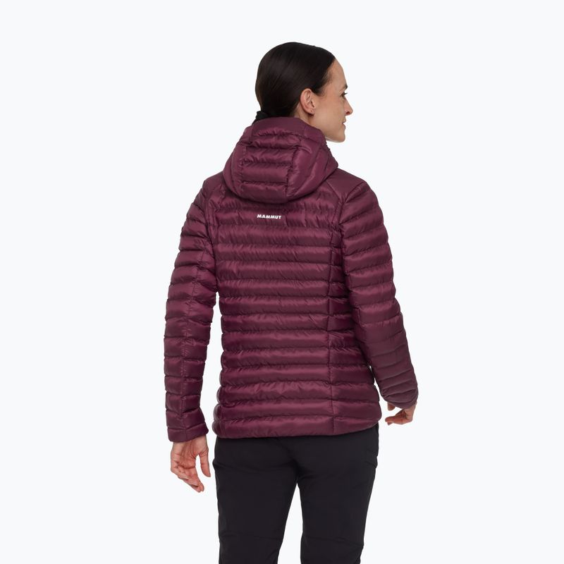 Дамско подплатено яке Mammut Albula IN Hooded wine/black 2