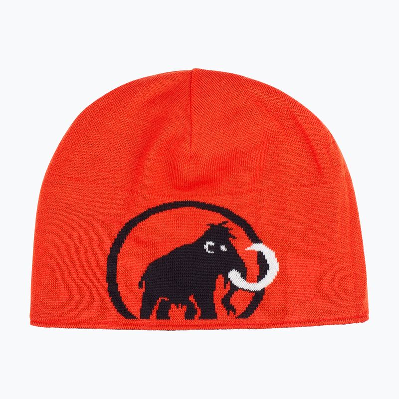 Зимна шапка Mammut Logo black 2