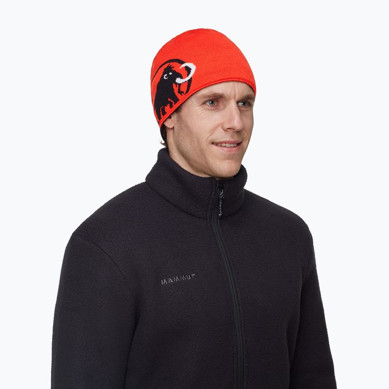 Зимна шапка Mammut Logo black 5