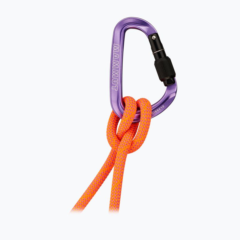 Карабинка Mammut Classic HMS Screwgate screw gate/alpine calamint 2