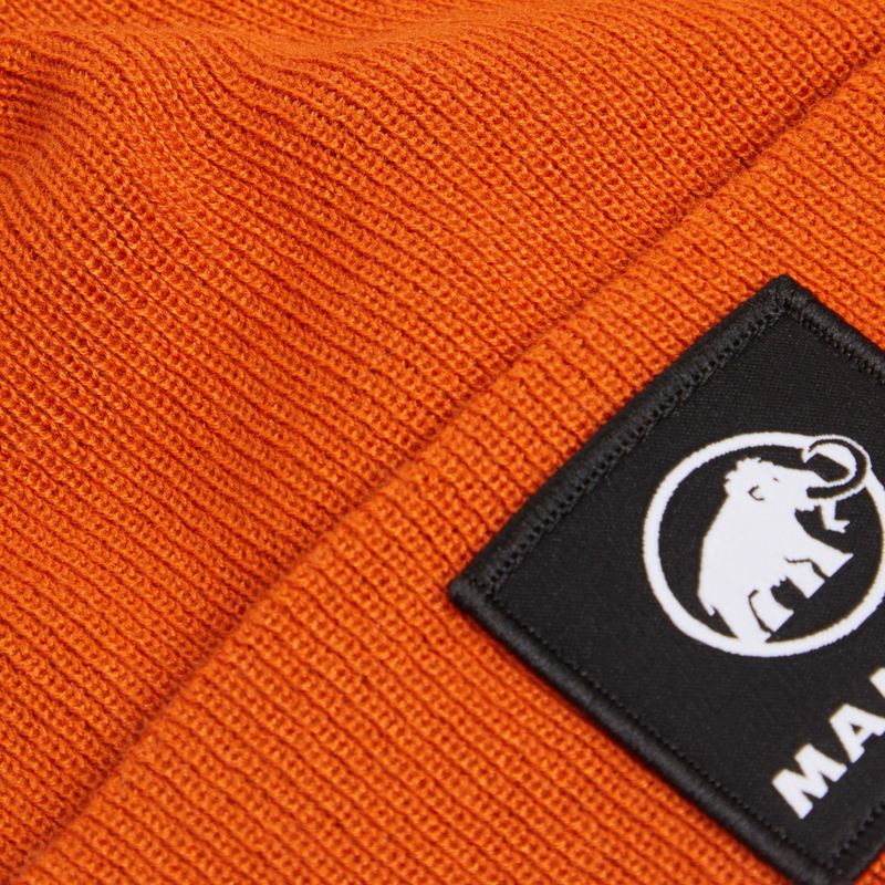 Зимна шапка Mammut Fedoz Beanie autumn larice 2