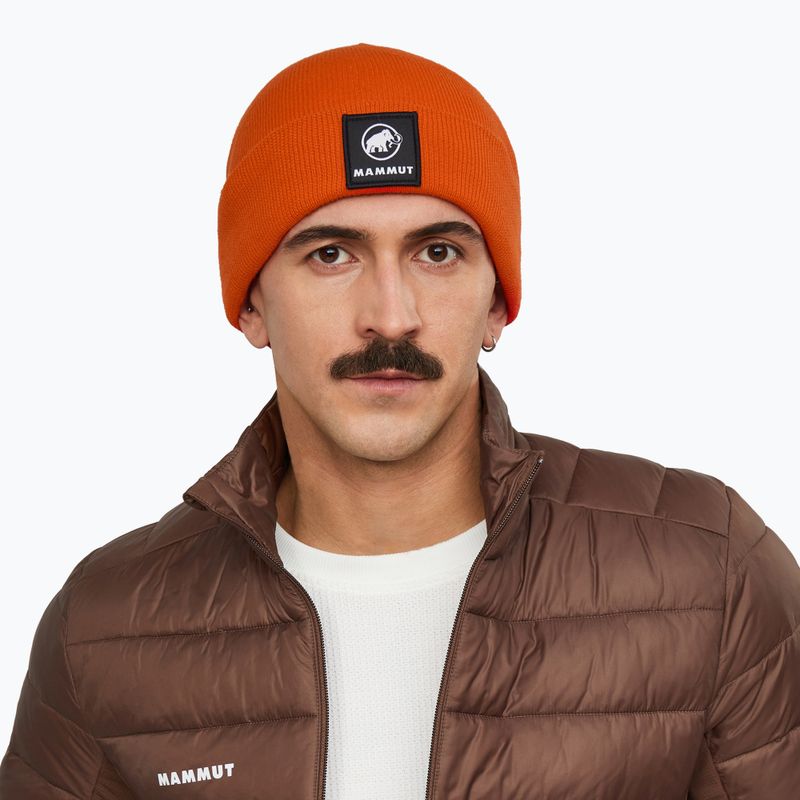 Зимна шапка Mammut Fedoz Beanie autumn larice 3
