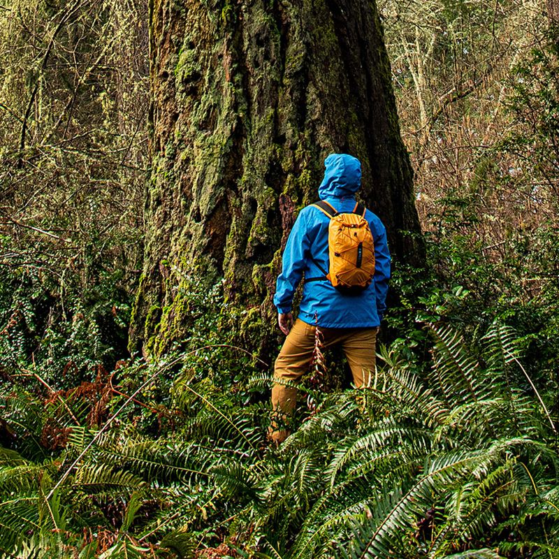 Раница за катерене Exped Cloudburst 25 l gold 7