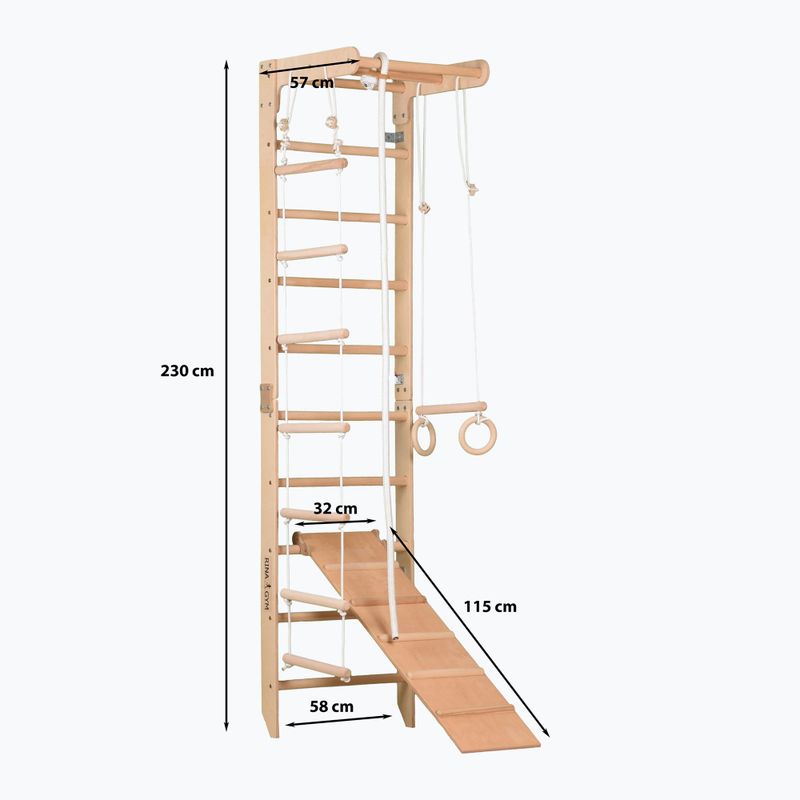 Гимнастическа стълба RINAGYM SPR B+SLIDE 10