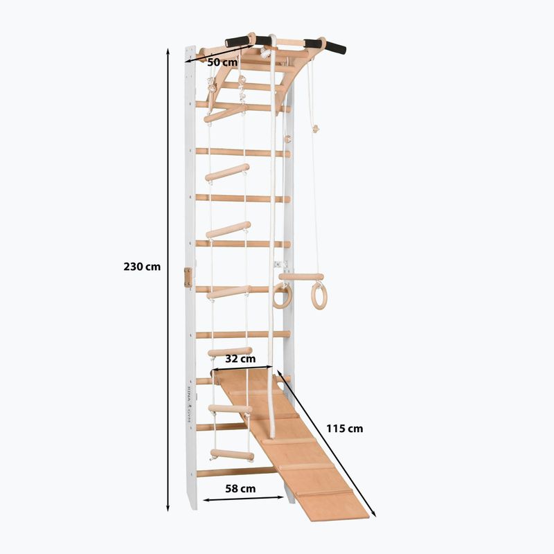 Гимнастическа стълба RINAGYM SPR A+SLIDE 2