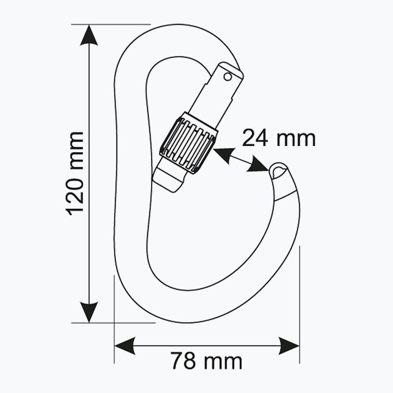 Катерачен карабинер CAMP Atom Lock black 3