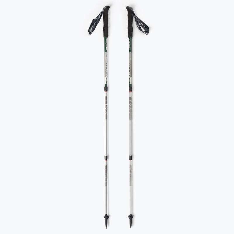 Поле за трекинг Masters Pole Summit Light zielone 01S4519