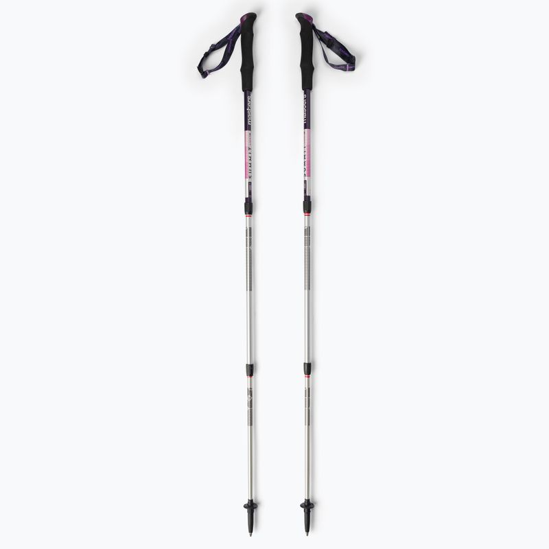 Kije trekkingowe damskie Masters Trekking Pole Summit Light Woman srebrne 01S4619