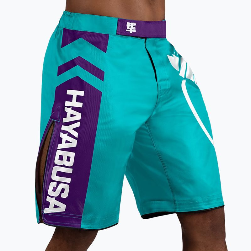 Тренировъчни шорти Hayabusa Icon Fight тил/бял 2