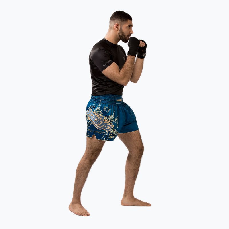 Мъжки тренировъчни шорти Hayabusa Falcon Muay Thai blue 4