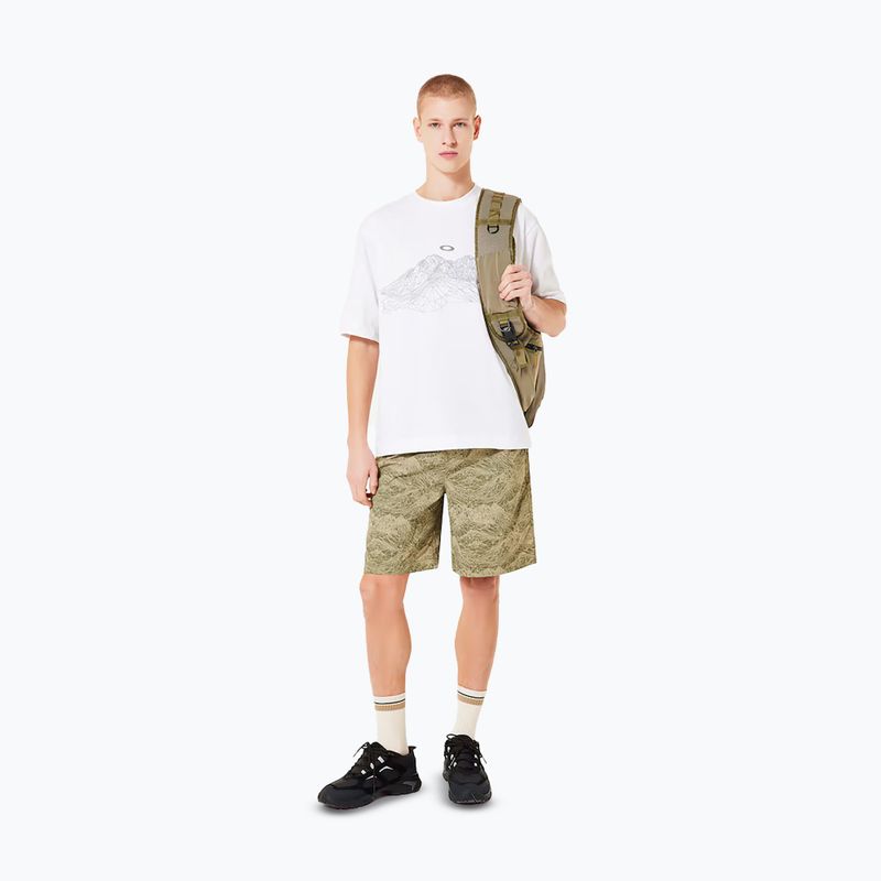 Мъжки потник Oakley Wired Mtn Scape Tee white 2