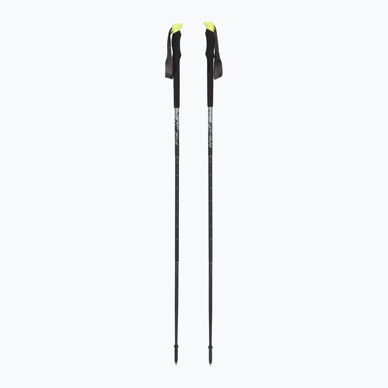 Щеки Fizan Compact Pro сиви