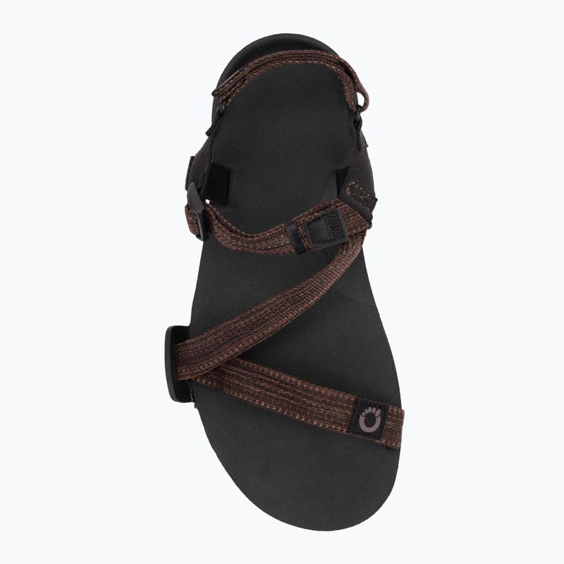Мъжки сандали за боси крака Xero Shoes Z-Trail EV multi / brown 5
