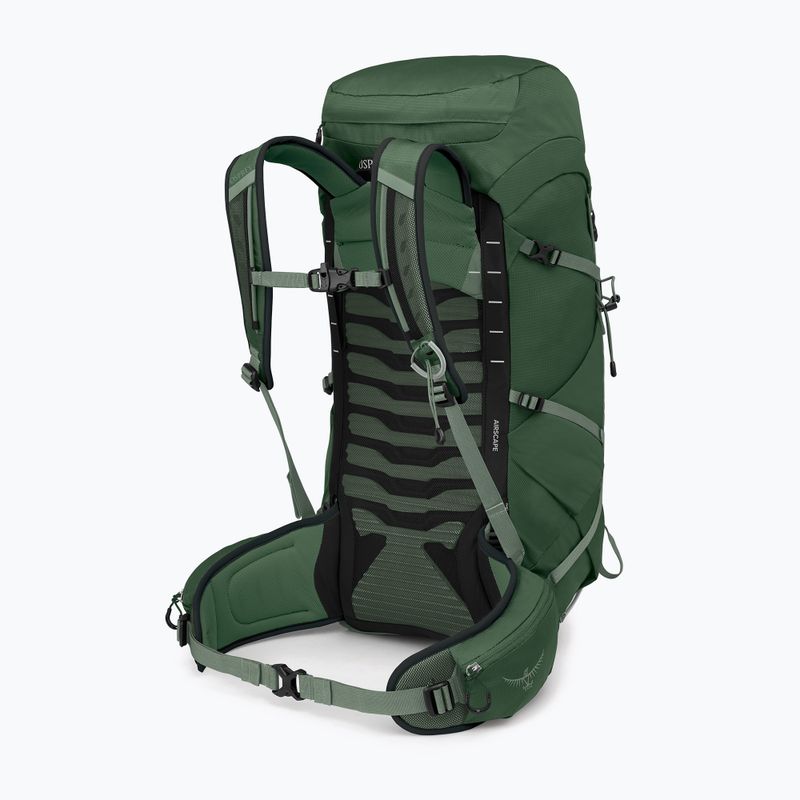 Osprey Talon 33 l green canopy/ pine leaf мъжка туристическа раница 2