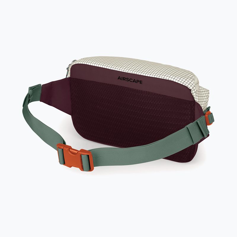 Чантичка за кръстна Osprey Transporter Waist Pack 3 l mystery white/moody burgundy 3