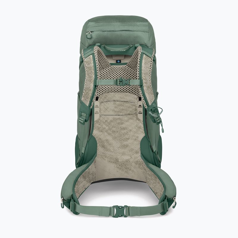 Мъжка туристическа раница Osprey Stratos 44 l pine leaf 3