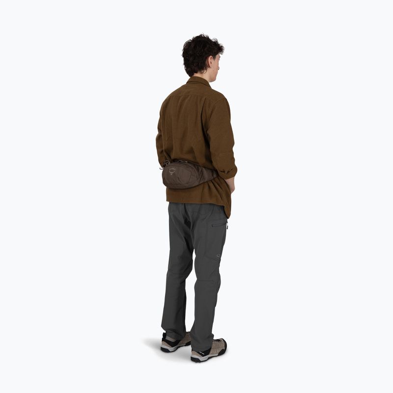 Чантичка за кръстна Osprey Daylite Waist 2 l truffle brown 4