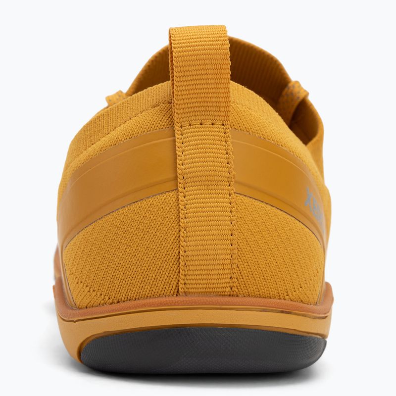 Мъжки обувки за боси крака Xero Shoes Nexus Knit gold 6