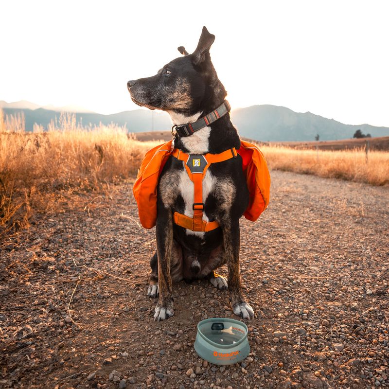 Купа за куче HydraPak Rover sutro green 4