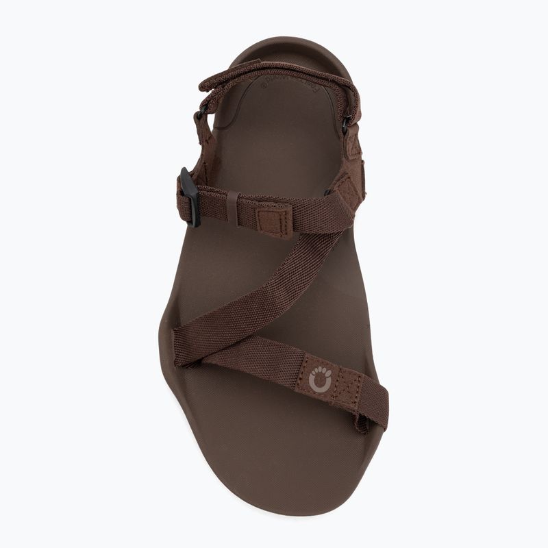 Мъжки сандали barefoot Xero Shoes Z-Trek brown 5