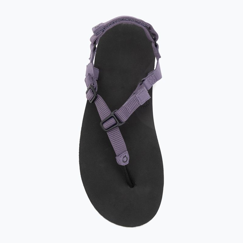 Дамски сандали barefoot Xero Shoes H-Trail sage purple HTW-SGPU 5