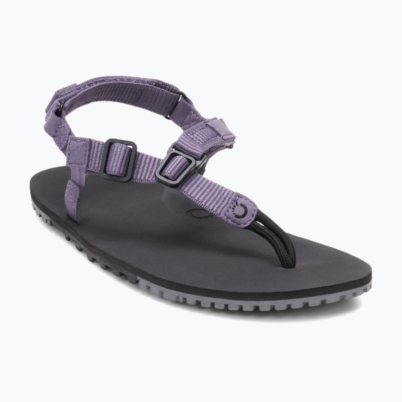 Дамски сандали barefoot Xero Shoes H-Trail sage purple HTW-SGPU 8