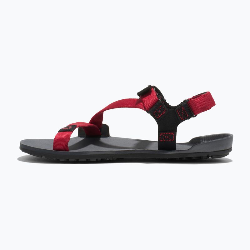 Детски сандали Xero Shoes Z-Trail с въглен/червен пипер на Barefoot 2