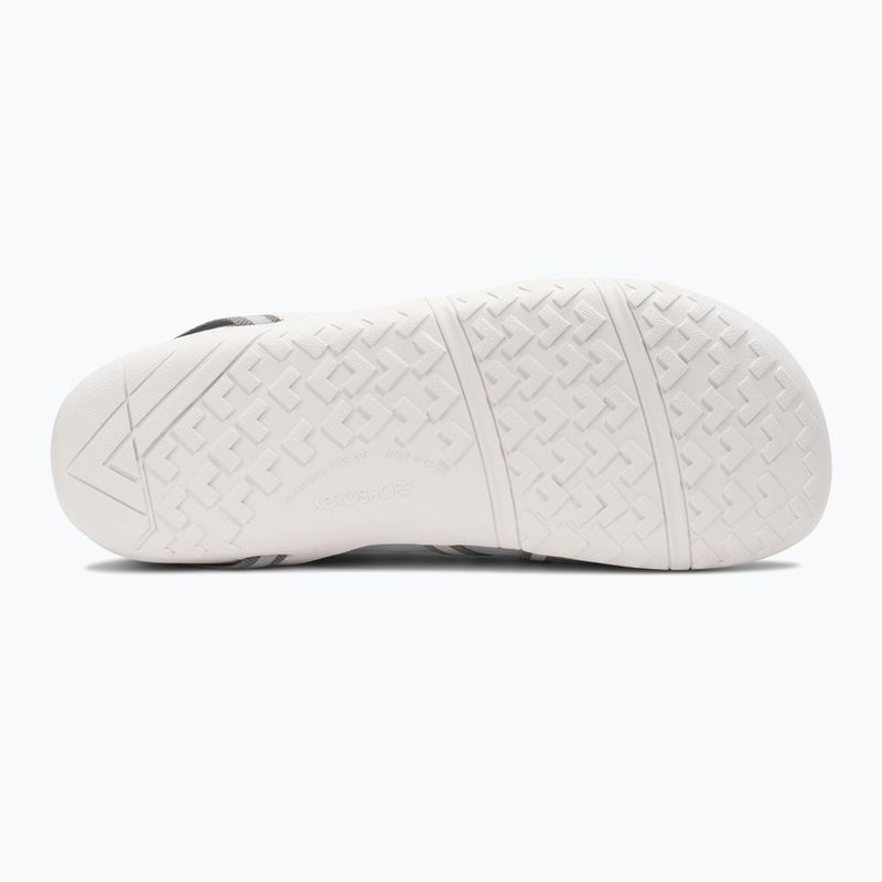 Дамски обувки barefoot Xero Shoes Speed Force II alloy/silver 5