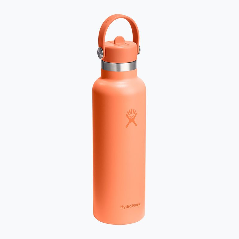 Термобутилка Hydro Flask Standard Flex Straw 620 ml nectar 2