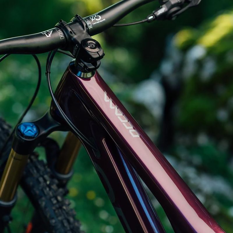 Orbea Occam M10 LT 2022 металик боровинка планински велосипед 3