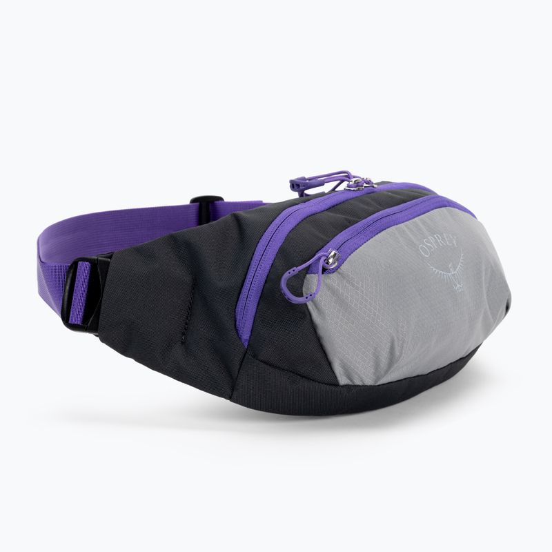 Osprey Daylite Waist 2L сиво-виолетова бъбрековидна торбичка 10004202