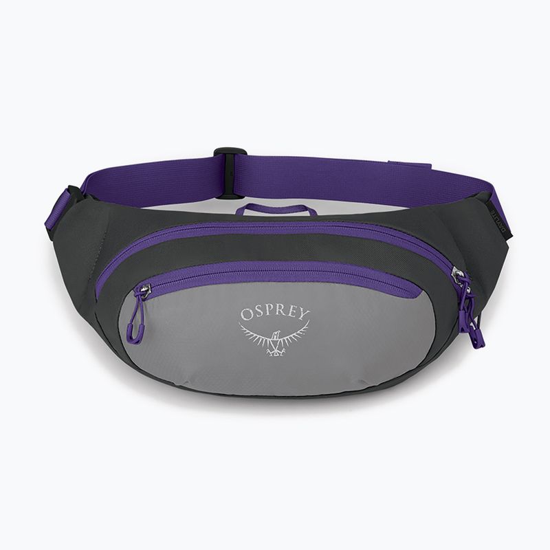 Osprey Daylite Waist 2L сиво-виолетова бъбрековидна торбичка 10004202 9