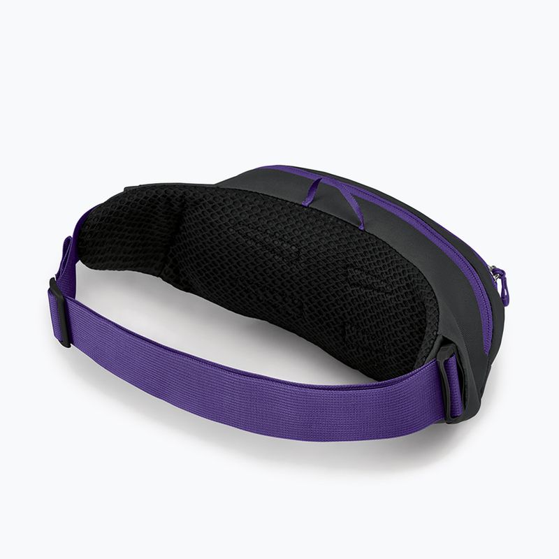 Osprey Daylite Waist 2L сиво-виолетова бъбрековидна торбичка 10004202 10