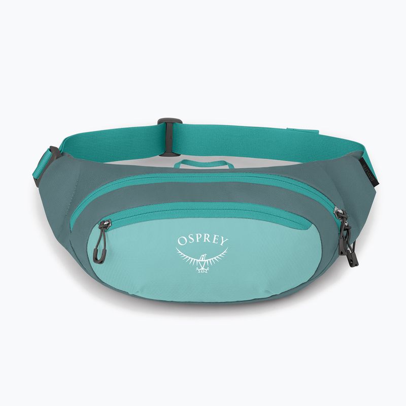 Чантичка за кръста Osprey Daylite Waist jetstream blue/cascade blue