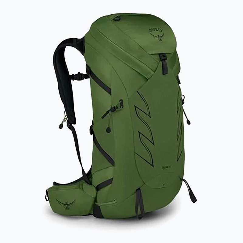 Мъжка раница за трекинг Osprey Talon 36 l (S-M) green belt/black