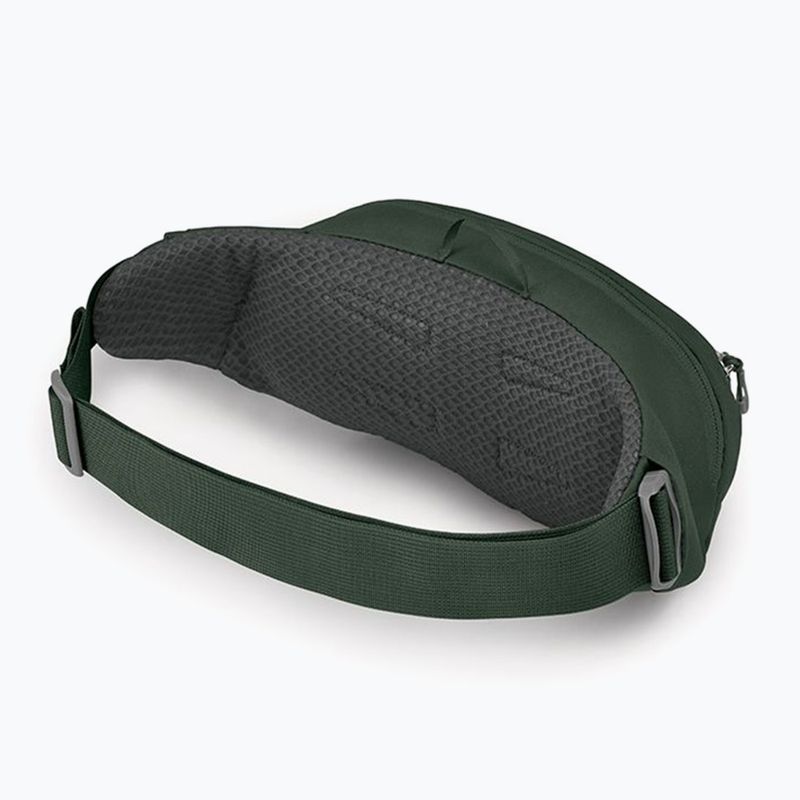 Osprey Daylite Waist 2 l green bely/green canopy бъбрековидна чанта 3