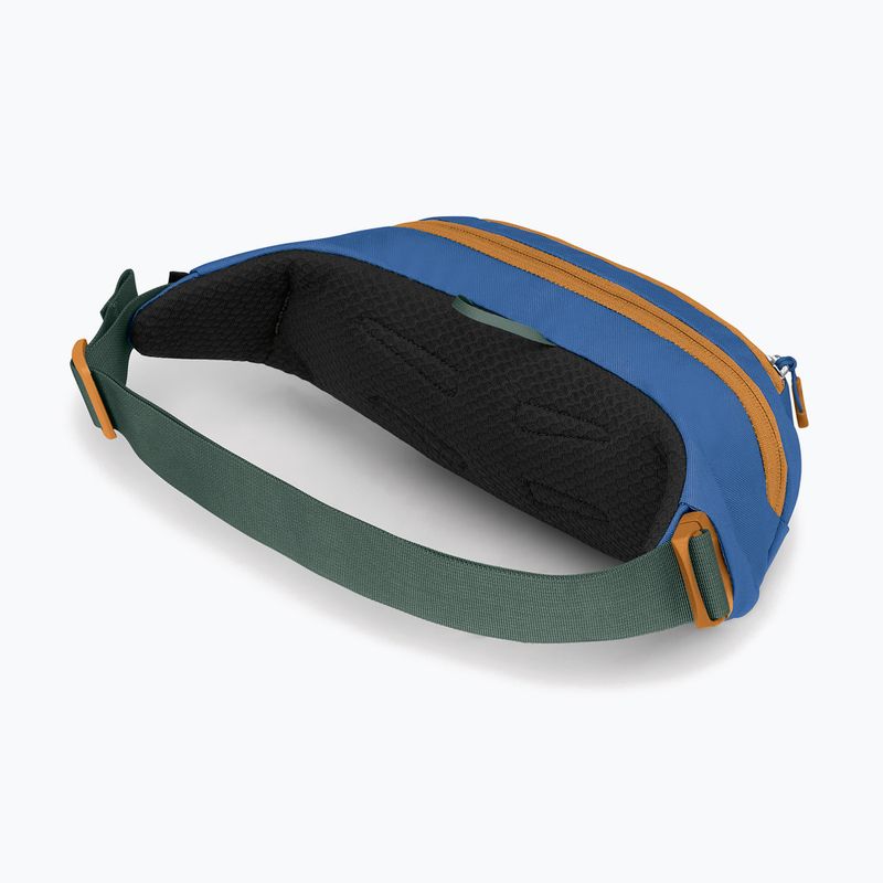 Osprey Daylite Waist Earth 2 л тъмен въглен/син пламък бъбрек 3