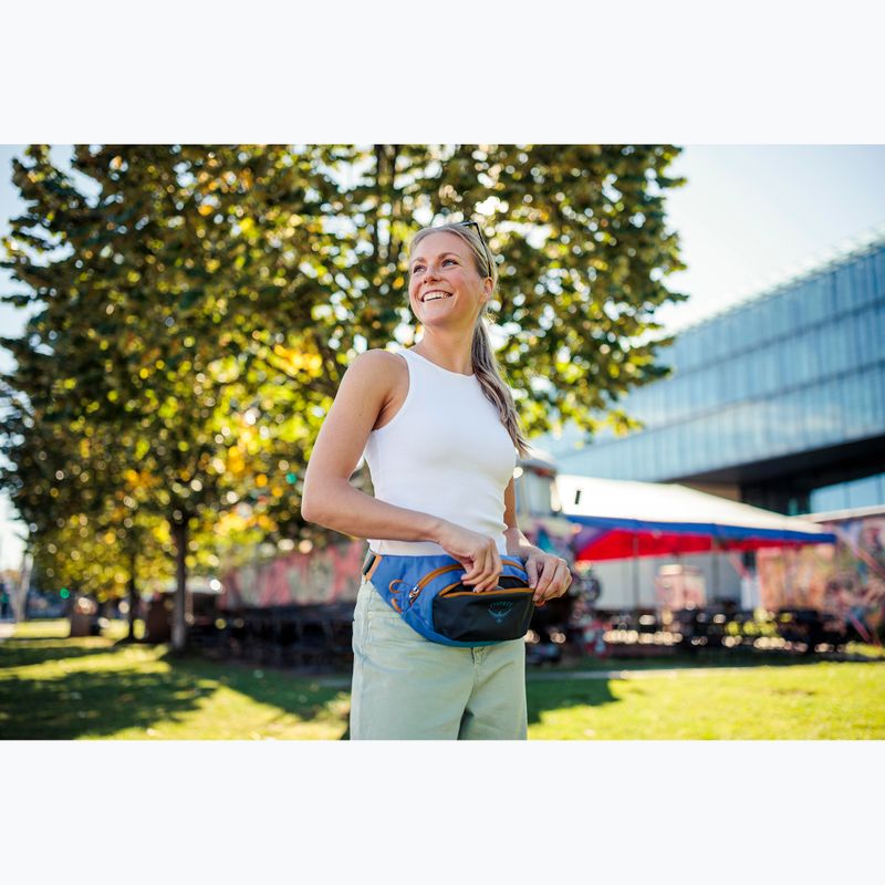 Osprey Daylite Waist Earth 2 л тъмен въглен/син пламък бъбрек 13