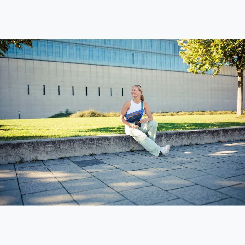 Osprey Daylite Waist Earth 2 л тъмен въглен/син пламък бъбрек 14