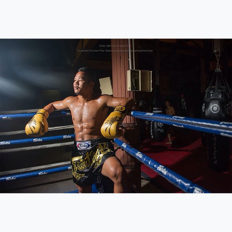 Боксови ръкавици Fairtex Universal „Tight-Fit“ Design Falcon gold 3