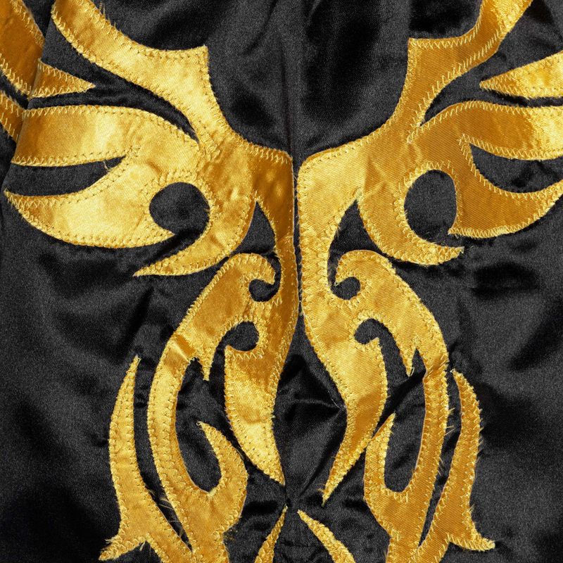 Мъжки шорти за тренировка Top King Kickboxing 4
