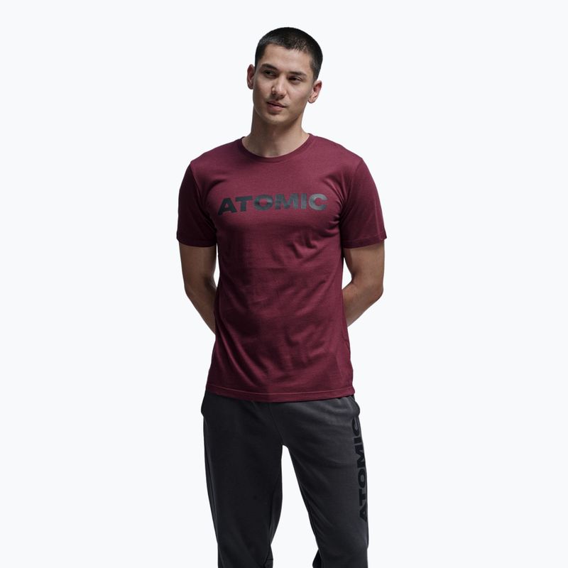 Мъжка тениска Atomic Alps maroon