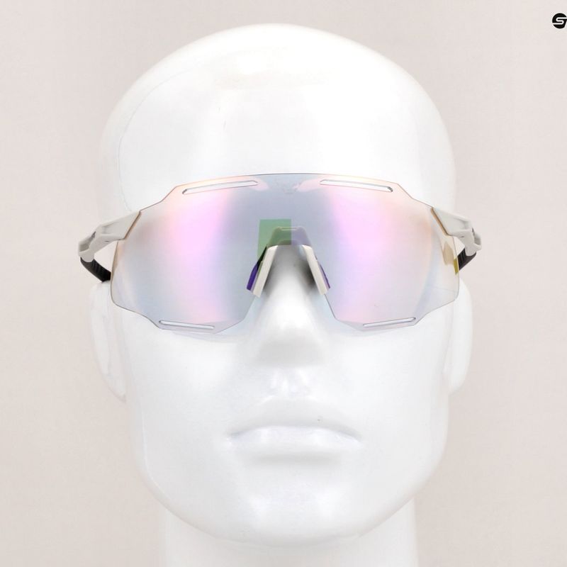 Слънчеви очила DYNAFIT Alpine Evo nimbus/black out 7