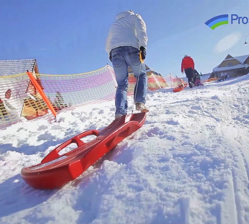 Prosperplast Морски лъв, синя шейна ISBLION-3005U 6