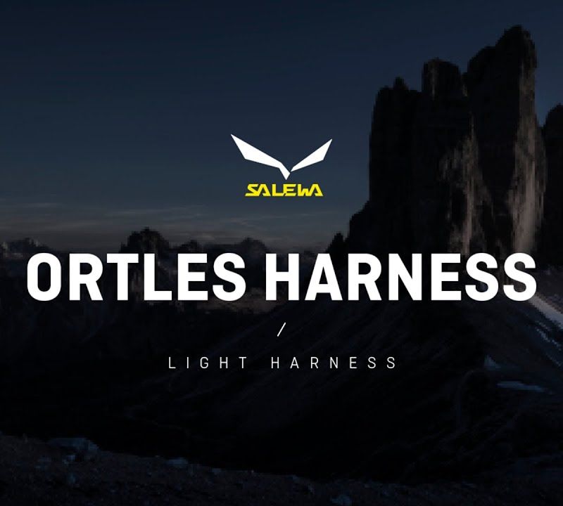 Salewa Ortles Катерачен сбруя жълт 00-0000001751 7