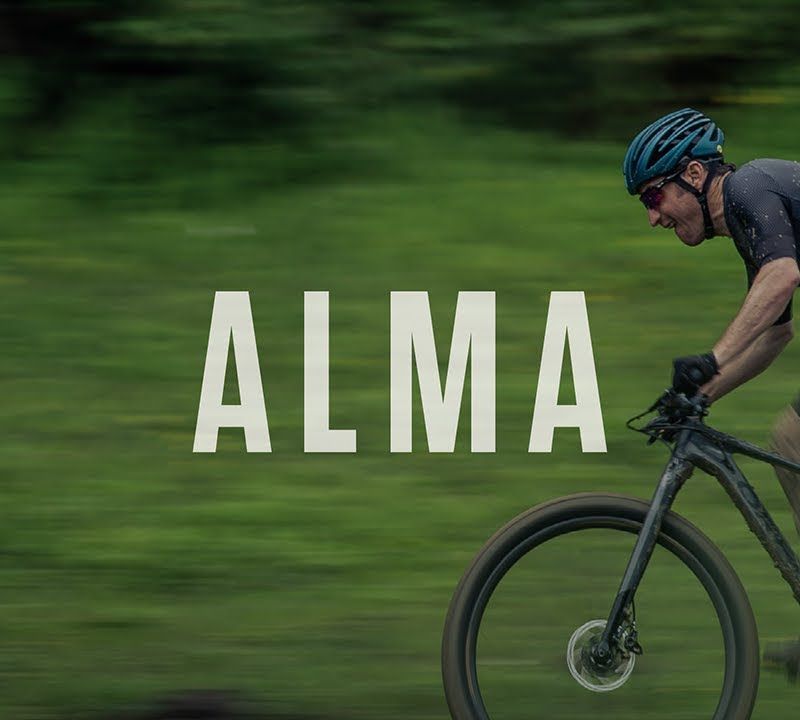 Orbea Alma M21 2023 черен/черен планински велосипед 3