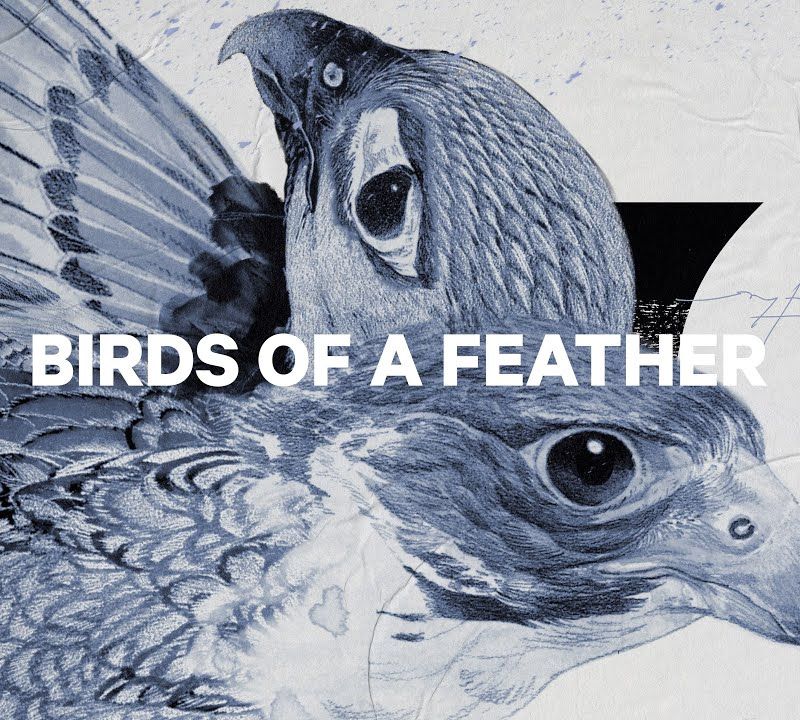 Дамски сноуборд CAPiTA Birds Of A Feather 1221108 5