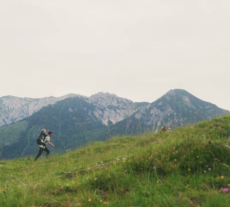 Детска количка Thule Sapling зелена 3204539 10